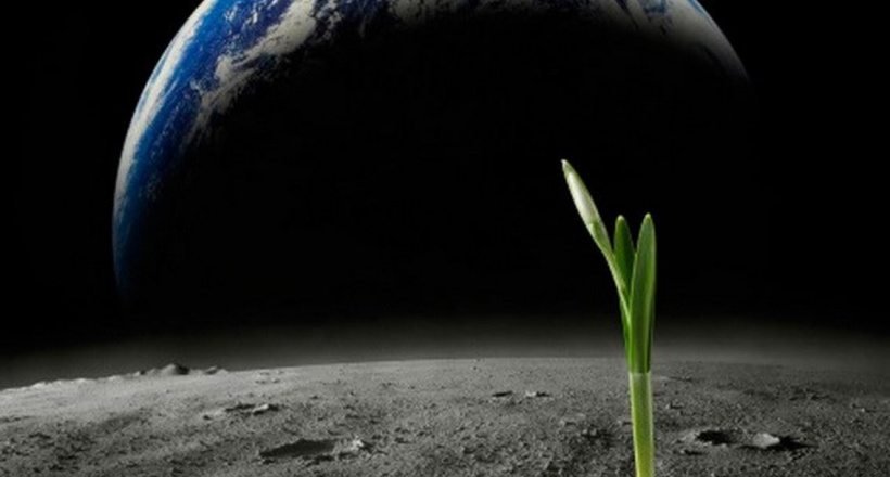 Xác định được sự sống ngoài hành tinh rất gần Trái Đất