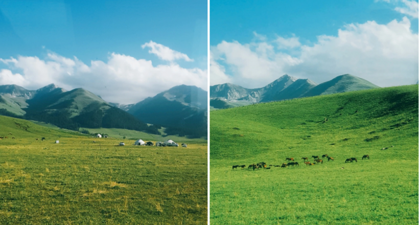 Tôi đến cao nguyên đẹp như mơ tại Tân Cương