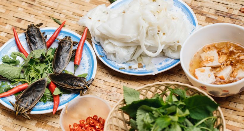 Món bánh cuốn có cả côn trùng của người Việt: Ai không quen nhìn chẳng dám ăn, nghe giá mới bất ngờ
