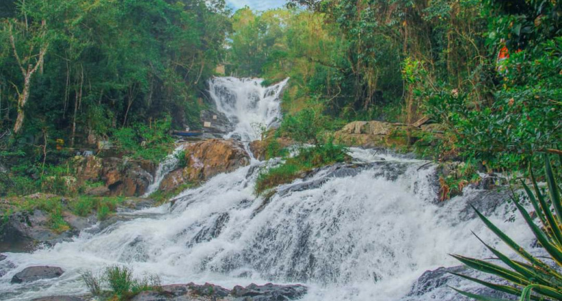 Việt Nam có 1 thành phố được mệnh danh là "tiểu Paris": Có ngàn hoa mỹ miều, chốn mộng mơ "không góc chết" với vẻ đẹp mơ màng ai cũng thích