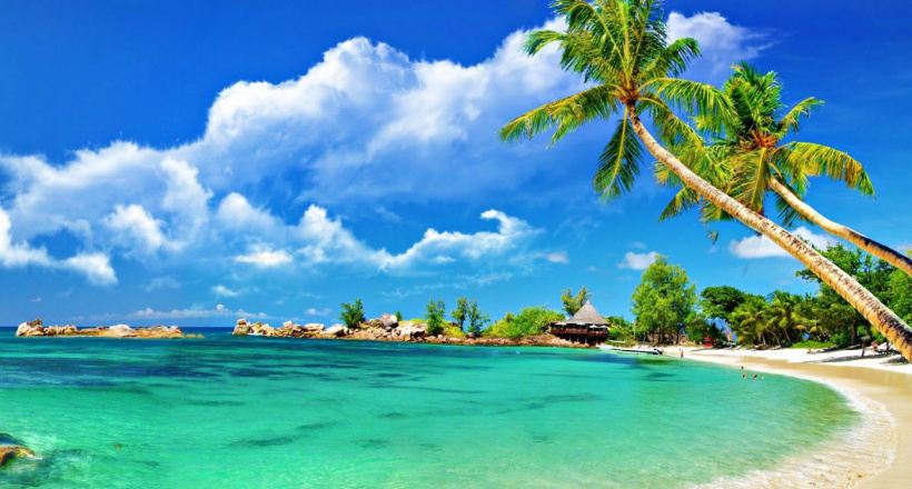 Những điểm lặn biển ngắm san hô đẹp ở Việt Nam