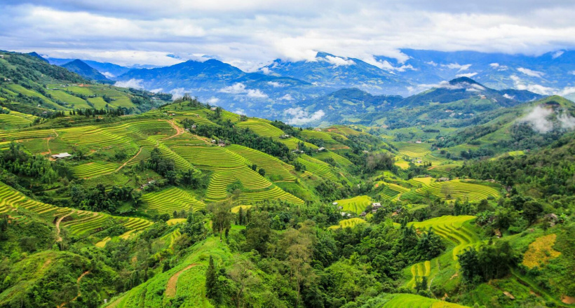 Hà Giang: Mê mẩn ‘bức tranh’ ruộng bậc thang mùa lúa xanh ở Hoàng Su Phì