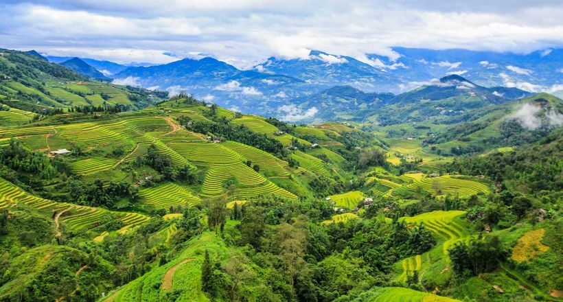 Hà Giang: Mê mẩn ‘bức tranh’ ruộng bậc thang mùa lúa xanh ở Hoàng Su Phì