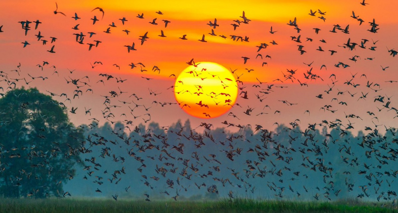 5 điểm du lịch trong ngày từ TP HCM dịp 2/9