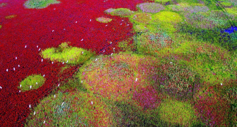 Ngắm Di sản Thế giới mới năm 2024 của UNESCO