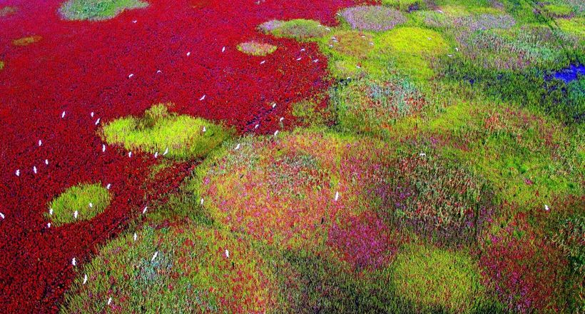 Ngắm Di sản Thế giới mới năm 2024 của UNESCO