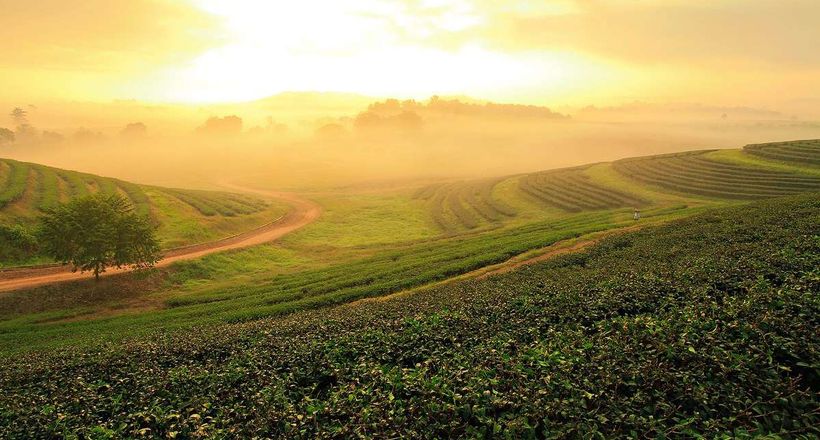 Du ngoạn thảo nguyên châu Âu ngay tại vùng đất Thái Lan