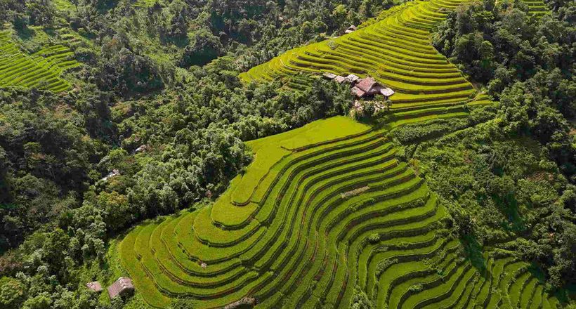 Mùa lúa vẹn nguyên sau bão, Hà Giang mời khách trở lại