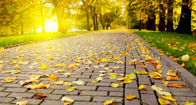 Những điểm đến mùa thu ở Việt Nam được nhiều du khách tìm kiếm