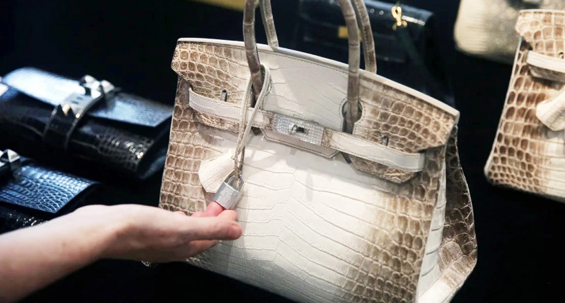 Review túi Hermès Bạch Tạng Himalaya của Ngọc Trinh