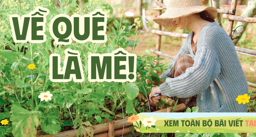 Gia đình 3 người về quê mua đất và biến nhà thành "khu rừng" thu nhỏ: Trời nóng 40 độ, không điều hòa vẫn mát!