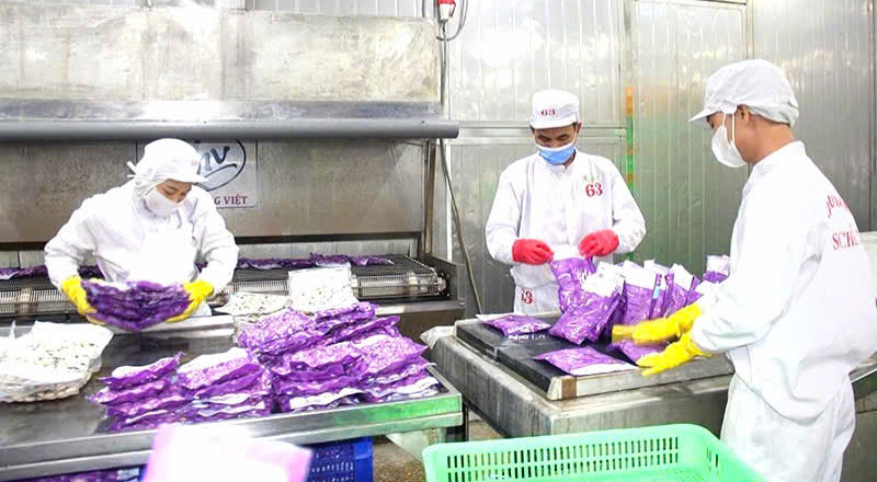 Thanh Hóa: Đạt nhiều kết quả quan trọng trong hội nhập kinh tế quốc tế