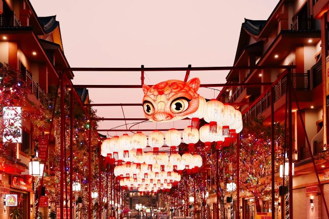 Bí kíp sở hữu bộ ảnh check-in “triệu like” tại lễ hội đèn lồng lớn nhất Việt Nam