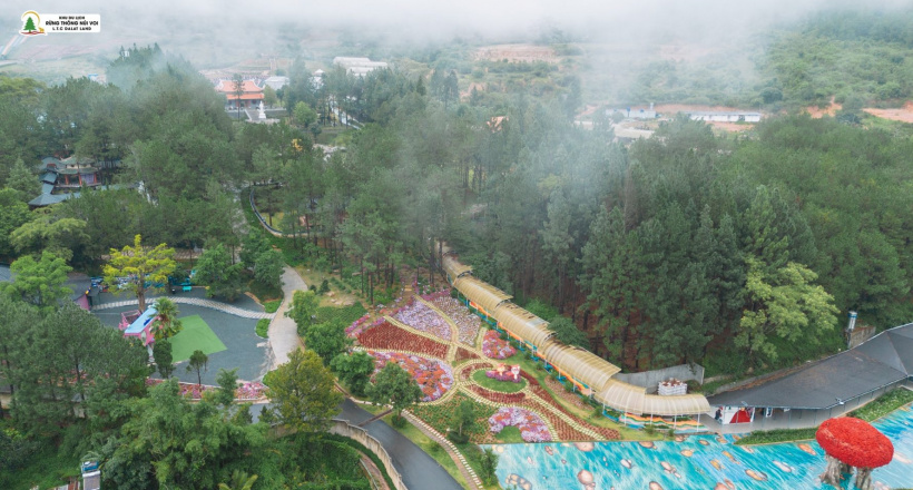 Một ngày lạc giữa Rừng Thông Núi Voi, nơi bình yên chạm tới từng hơi thở