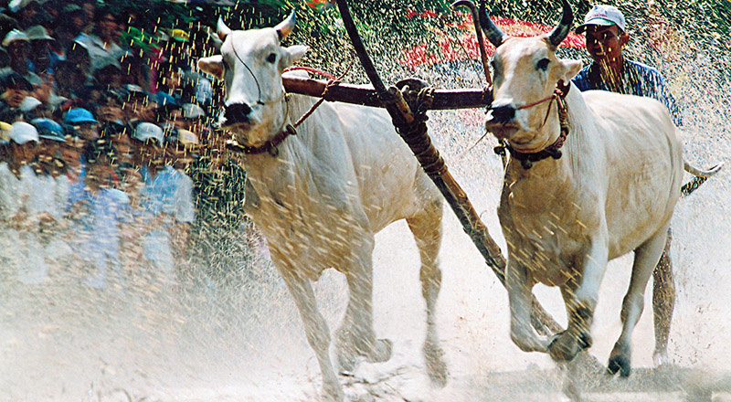 An Giang thắp sáng giá trị đoàn kết, nâng cao đời sống đồng bào dân tộc