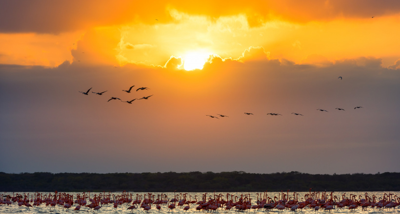 Colombia – Bức tranh thiên nhiên kỳ vĩ qua các Vườn Quốc gia Tự nhiên