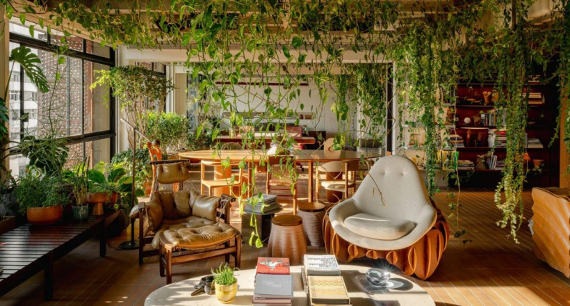 Căn hộ Varanda: Rừng nhiệt đới trong lõi bê tông