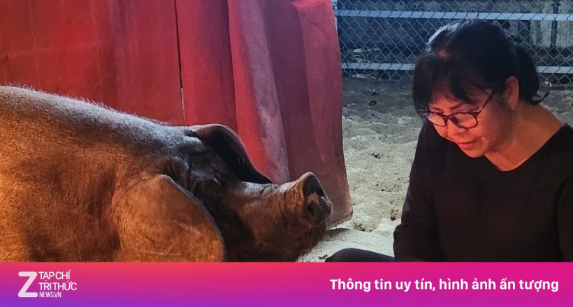 Cuộc sống của Ánh Tuyết trong biệt thự 500 m2