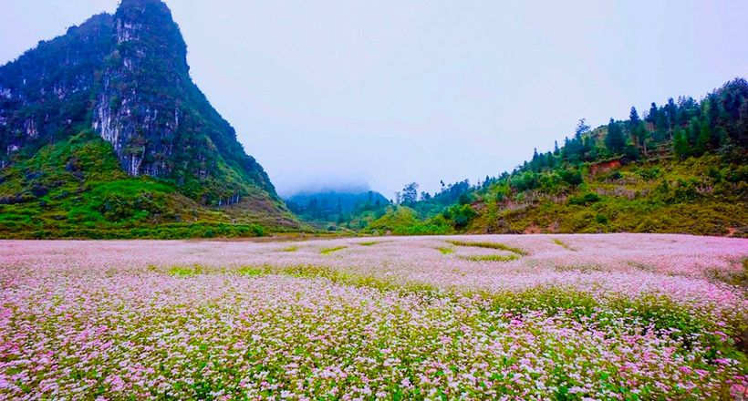 Tuyên Quang: Từ sắc hoa vùng đá đến động lực phát triển du lịch