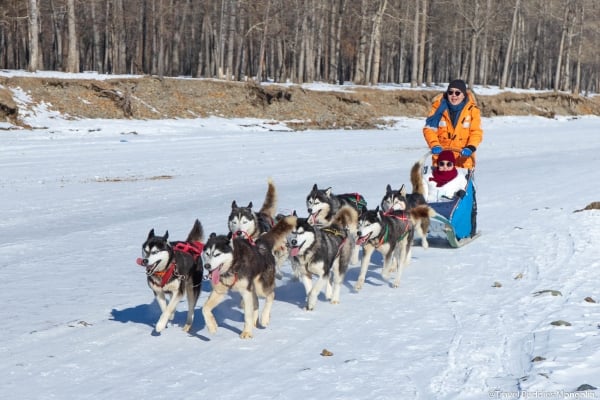 Ưu đãi giá tốt, chốt ngay tour Mông Cổ 5N4Đ chỉ 39.900.000/khách