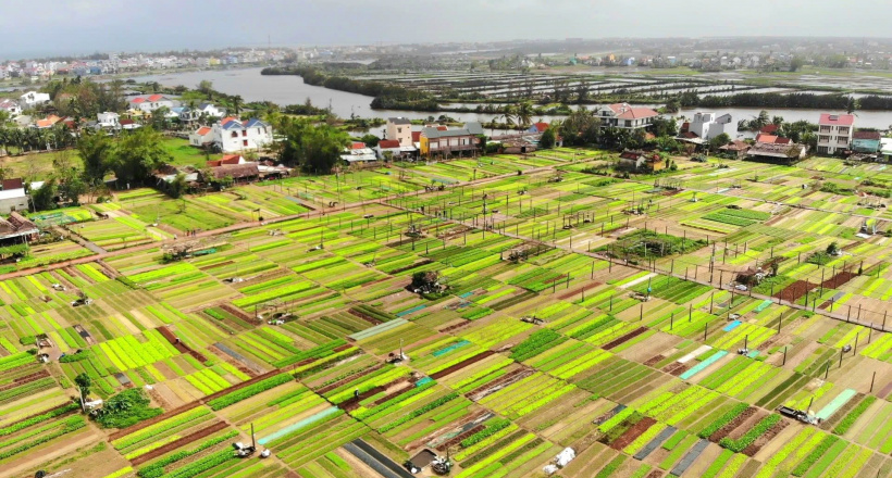 4 trải nghiệm phải thử ở làng rau Trà Quế – làng du lịch tốt nhất thế giới