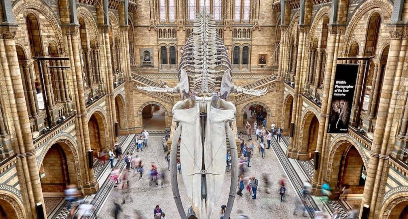 Khám phá thế giới tự nhiên qua những bảo tàng sinh học