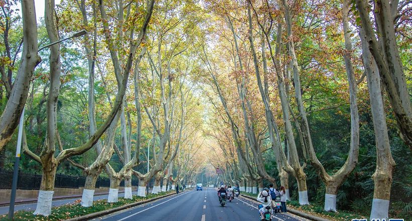 Check-in hàng loạt điểm đến hot nhất trong tour Trung Quốc 5N4Đ dịp lễ 30/4