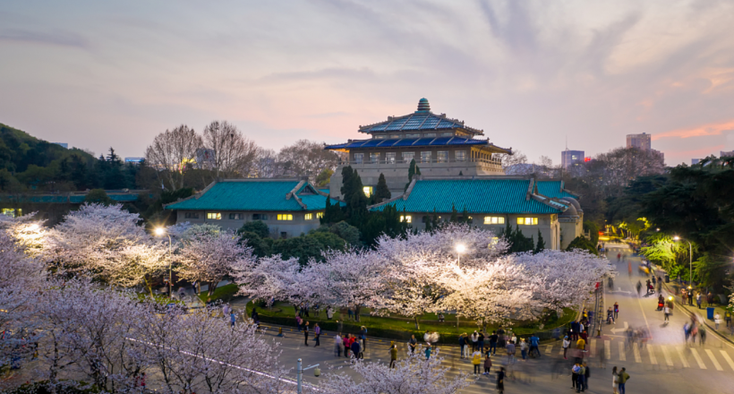 Ngắm hoa anh đào mùa xuân với tour Trung Quốc 7N7Đ