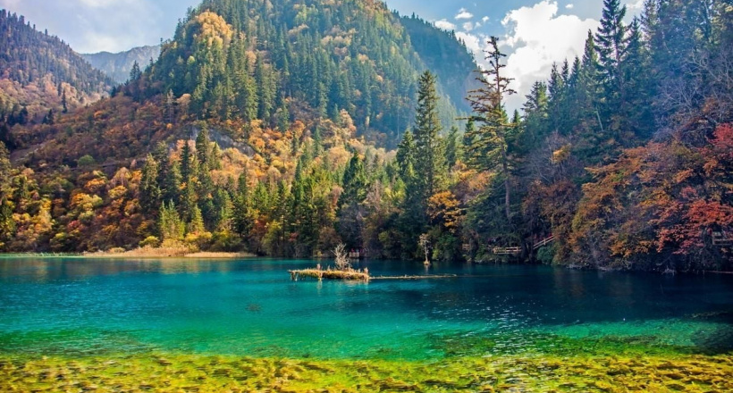 Thưởng trọn mùa hè đặc sắc cùng tour Trung Quốc 7N7Đ