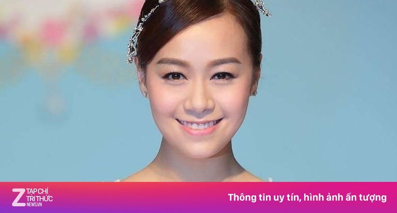 Huỳnh Tâm Dĩnh giải nghệ