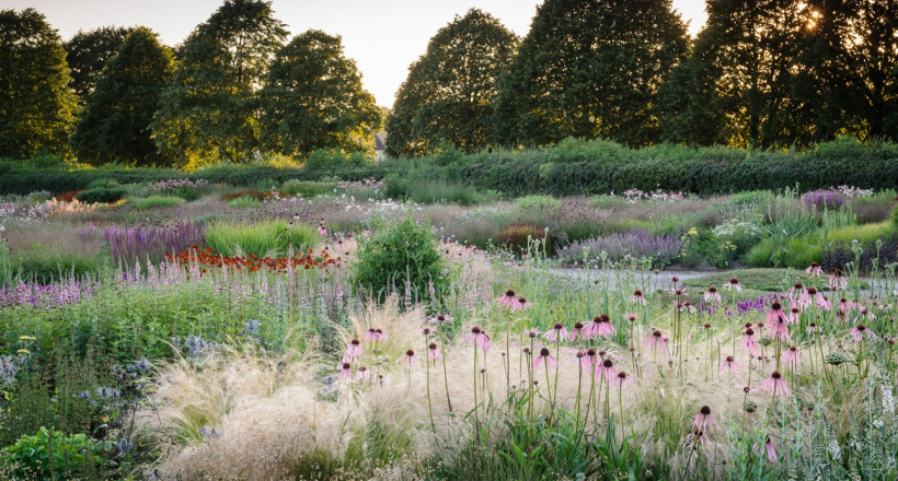 8 lời khuyên thiết kế vườn từ nhà thiết kế Piet Oudolf