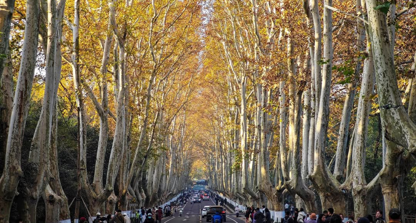 Check-in hàng loạt điểm đến hot nhất trong tour Trung Quốc 5N4Đ dịp lễ 30/4