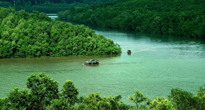Trốn phố, tìm rừng: Du lịch Cần Giờ chỉ cách Sài Gòn 50km