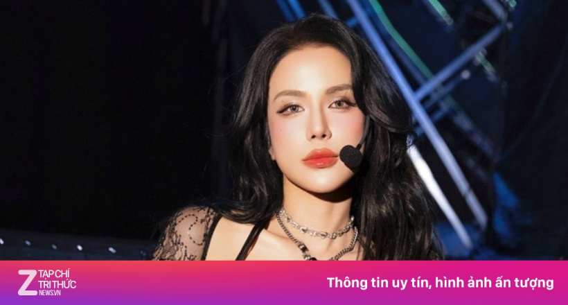 Diệp Lâm Anh bị công kích