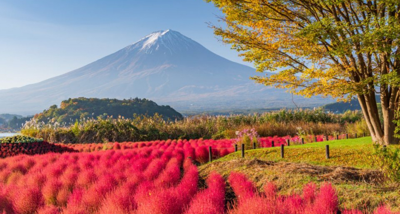 Top 3 tour Nhật Bản khởi hành từ Hà Nội giá tốt tại iVIVU