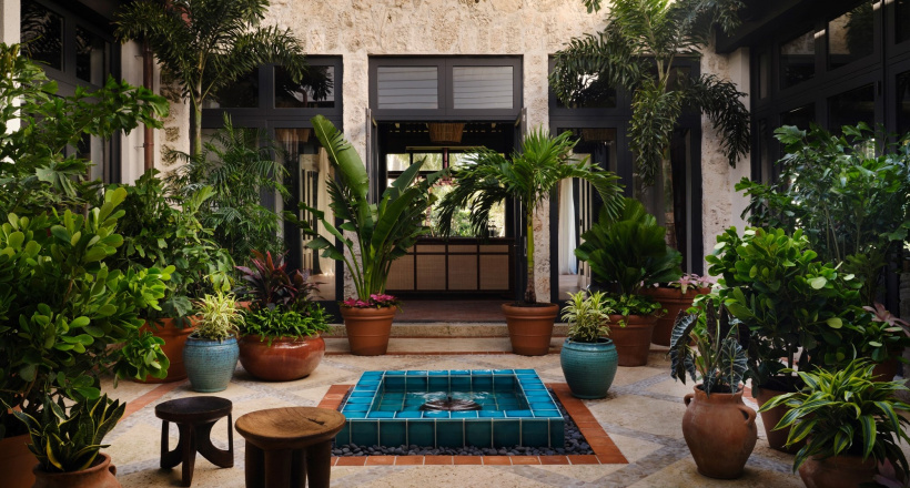 Nhà nhiệt đới Bahamas: Bản tình ca cho tâm hồn người nghệ sĩ
