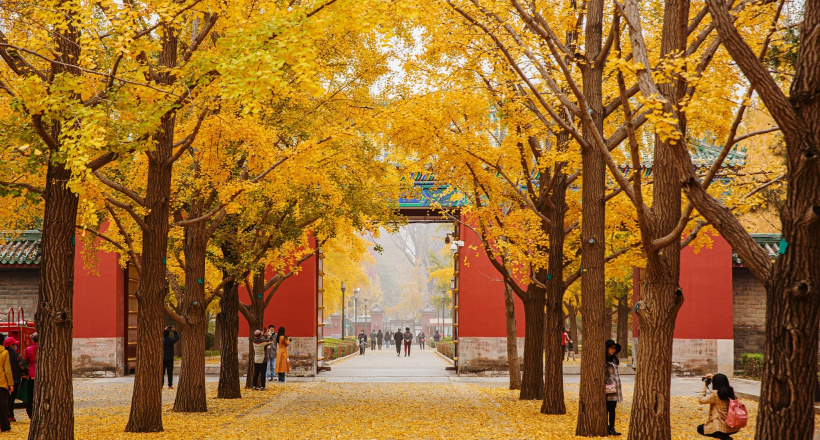 Top 3 tour Bắc Kinh mùa thu không thể bỏ lỡ tại iVIVU