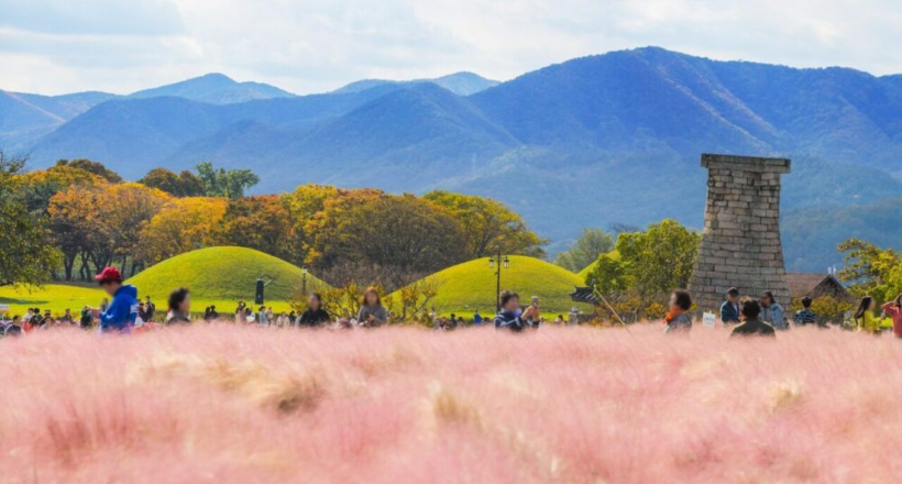 Top 6 tour Hàn Quốc mùa thu không thể bỏ lỡ 2025