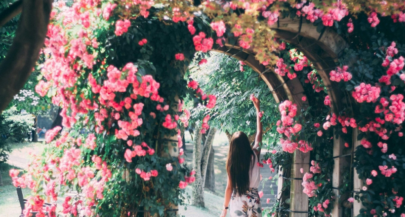 Tử vi 12 con giáp Chủ nhật ngày 14/9/2025: 5 tuổi dũng cảm đối mặt với thay đổi