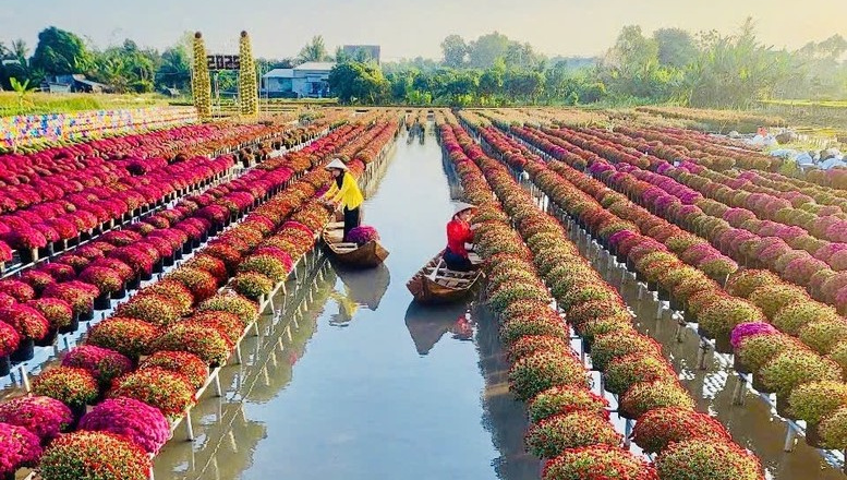 Festival Hoa – Kiểng Sa Đéc: Bước tiến mới trong phát triển du lịch văn hóa – nông nghiệp