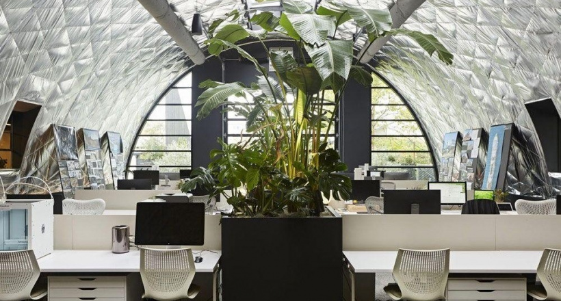 Sắc xanh trong văn phòng: Không gian làm việc trong lành và tích cực