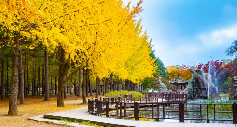 Top 4 tour mùa thu 2025 không thể bỏ lỡ – Trải nghiệm khó quên