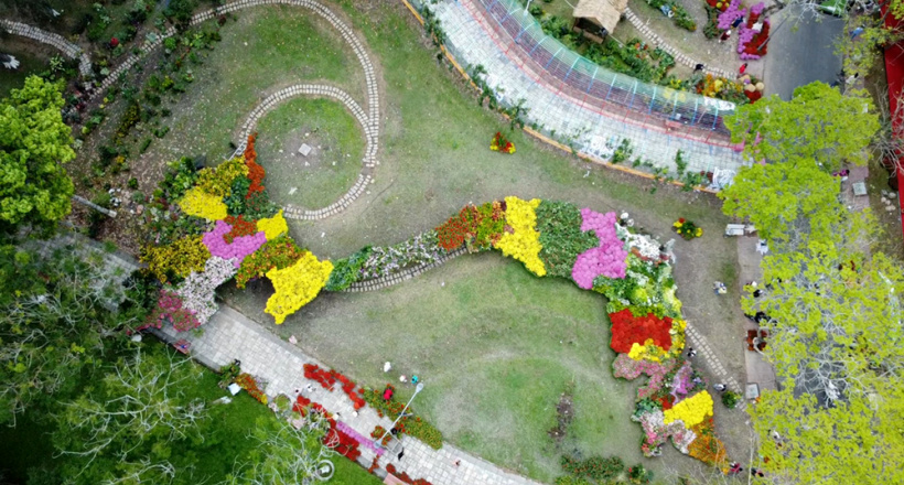 Sa Đéc xác lập kỷ lục Bản đồ Việt Nam tạo hình từ 1.000 giống hoa kiểng