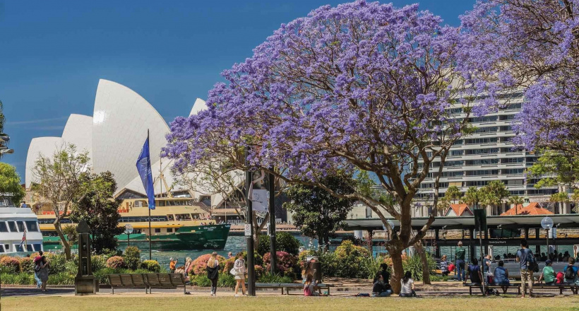 Du lịch Úc: Khám phá các điểm đến thú vị và gợi ý lưu trú lý tưởng