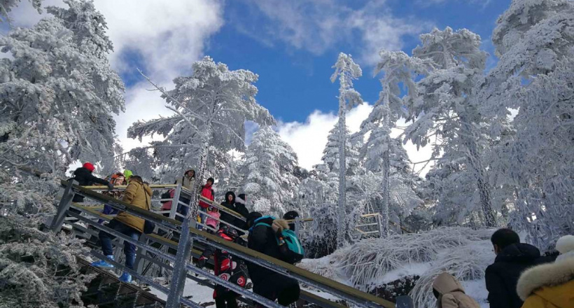 Tham khảo top 3 tour trượt tuyết núi Kiệu Tử chỉ từ 6.290.000 VNĐ