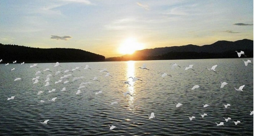 Yên Thành “quê lúa” với những điểm đến du lịch tâm linh và sinh thái trải nghiệm hấp dẫn