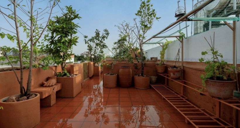 Vườn sân thượng: Ốc đảo trên cao