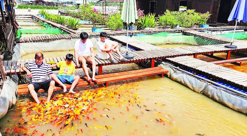 TP Cần Thơ: Người dân địa phương là linh hồn của du lịch cộng đồng
