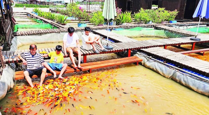 TP Cần Thơ: Người dân địa phương là linh hồn của du lịch cộng đồng