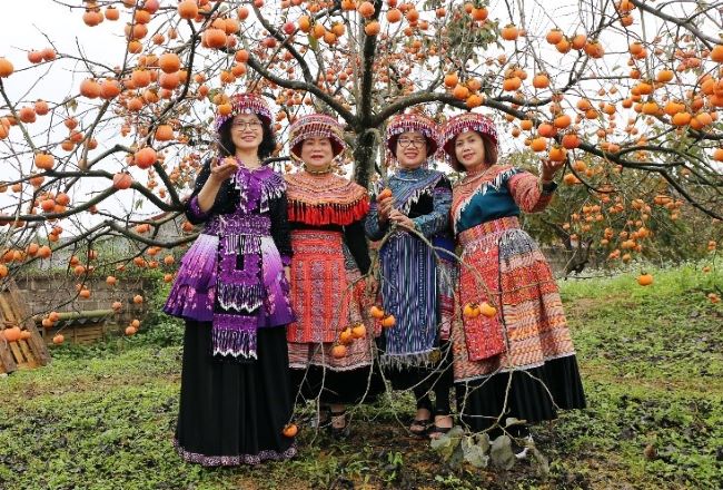 Tung tăng một miền váy áo Mộc Châu